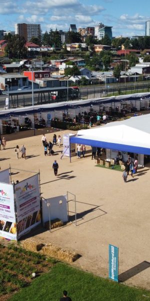 ARRIENDO-TOLOD-IMPERMEABLE-DISENO-PRODUCTORA-EVENTOS-REGION-MODULAR-INDAP-FERIAS