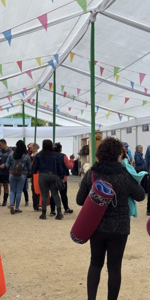 CARPAS-TOLDOS-ARRIENDO-DE- EVENTOS