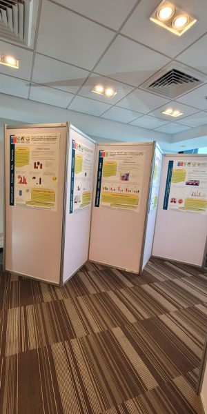 PANELES-EXPOSICION-EXPO-FERIA-PANEL-OCTANORM