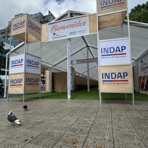 PRODUCTORA-EVENTOS-OCTANORM-IMPRESION-PORTICOS-EVENTOS