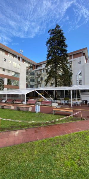 TOLDO-EVENTOS-IMPERMEABLES-MODULOS-ARRIENDO